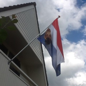 Geslaagd voor het examen !